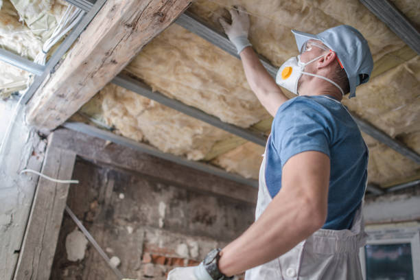 Best Cellulose Insulation in Taylors, SC