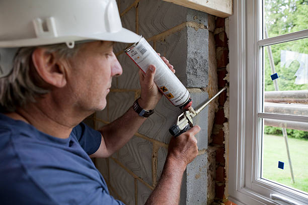 Best Eco-Friendly Insulation in Taylors, SC